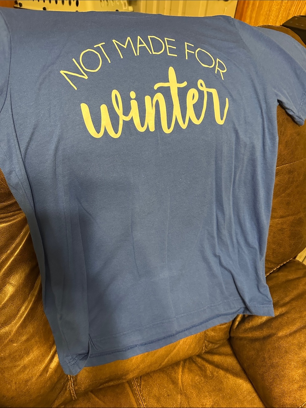 Bella Canvas Blue T-Shirt with White "Not Made For Winter" Script